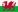 See More About Welsh