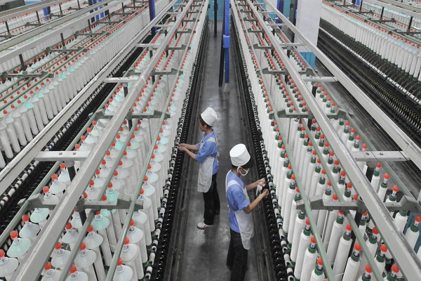 Ne 60/1 šukuoti kompaktiški BCI medvilniniai siūlai Ne 60/1 Combed Compact BCI Cotton Yarn